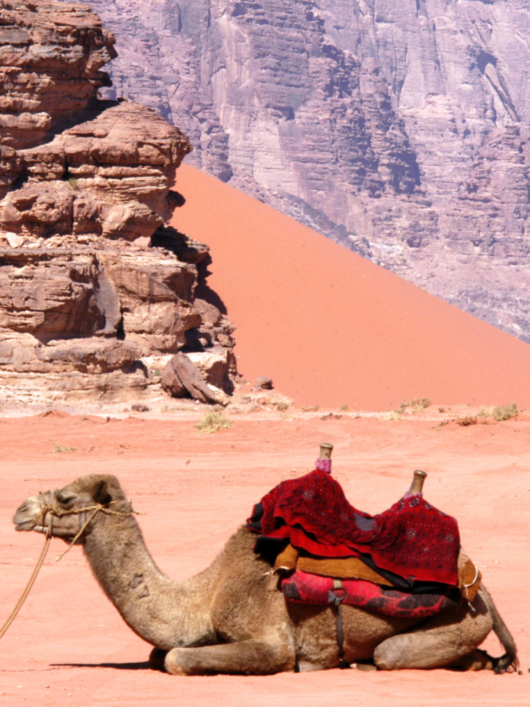 Wadi Rum 4