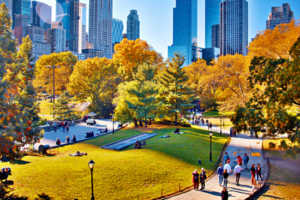 Viaggio a New York