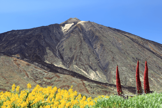 TENERIFE Evidenza